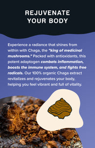 Chaga Mushroom Powder Extract