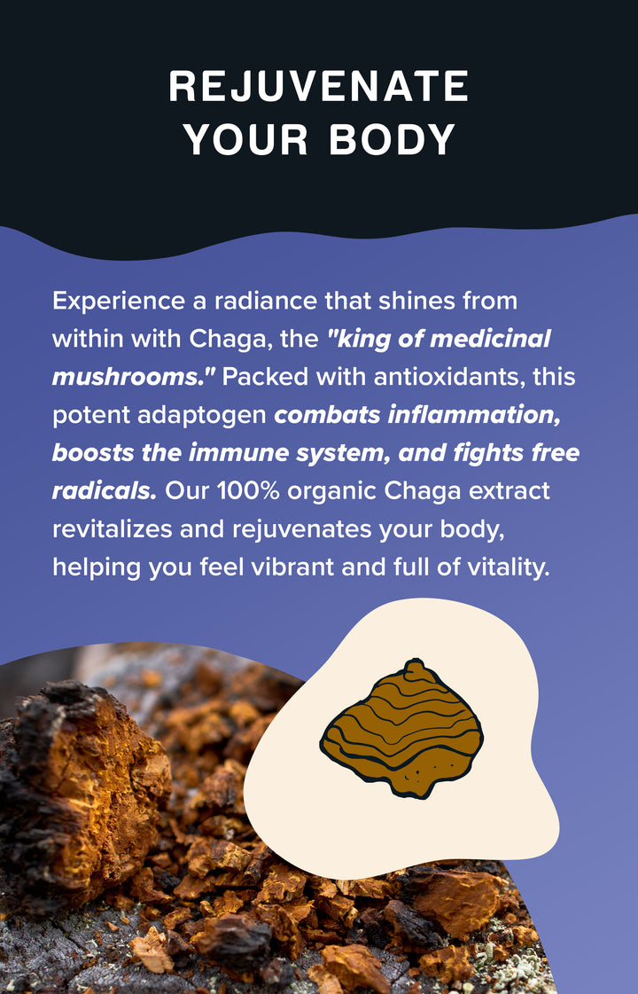 Chaga Mushroom Powder Extract
