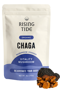 Chaga Mushroom Powder Extract