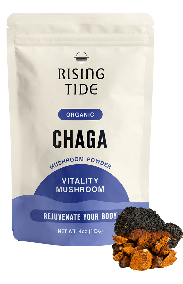 Chaga Mushroom Powder Extract