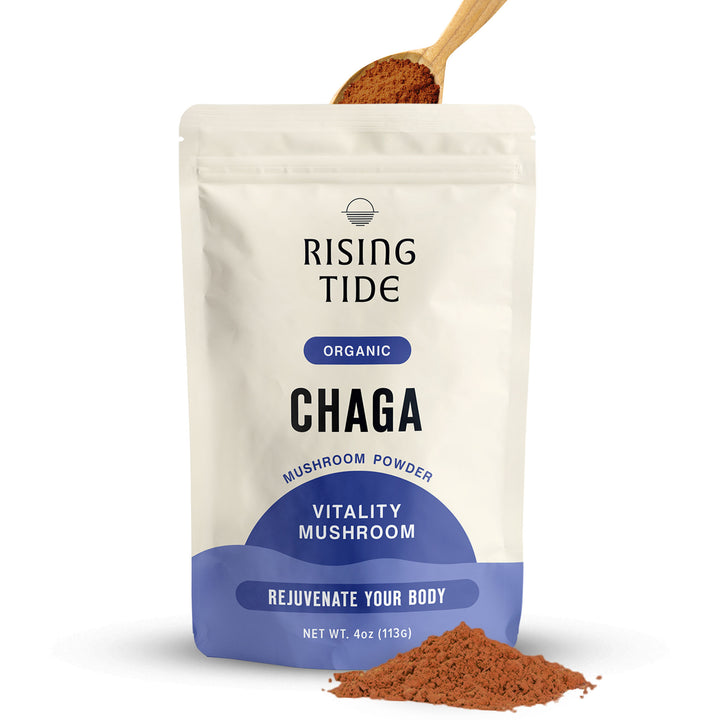 Chaga Mushroom Powder Extract