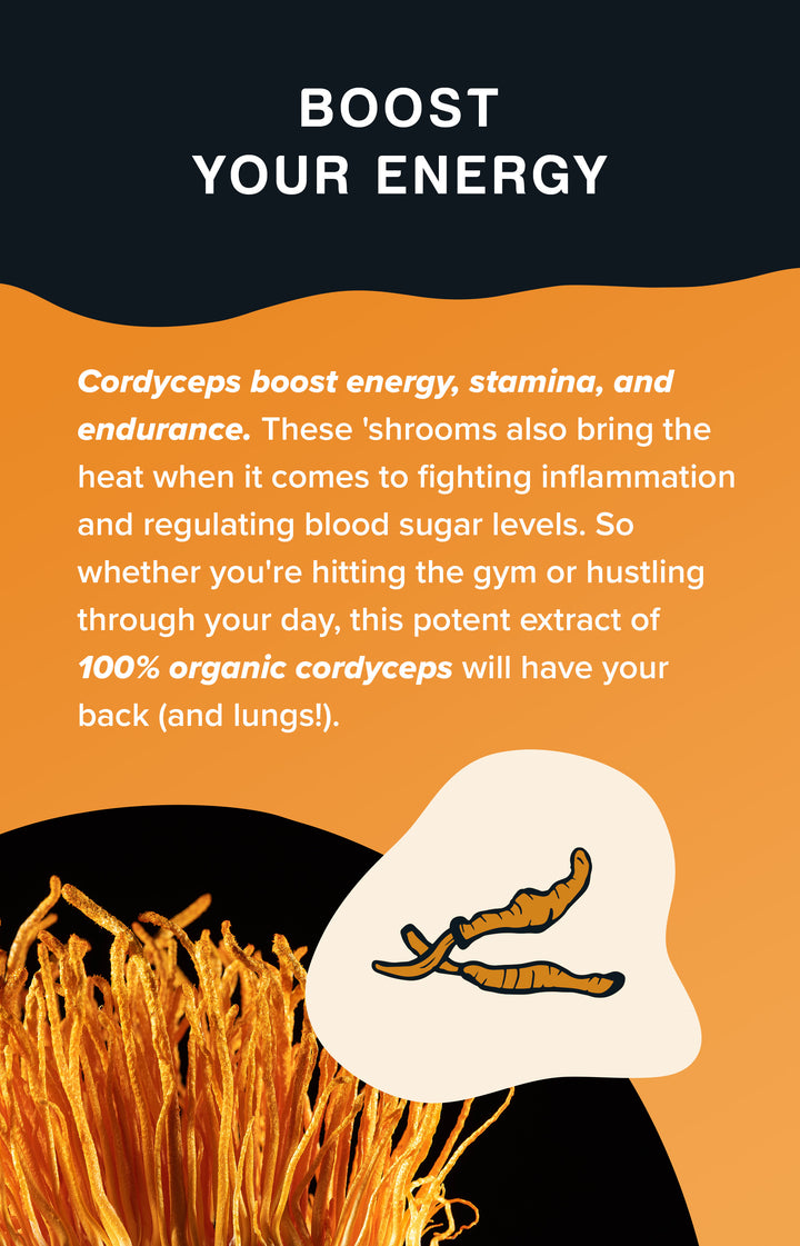 Cordyceps Mushroom Extract Powder