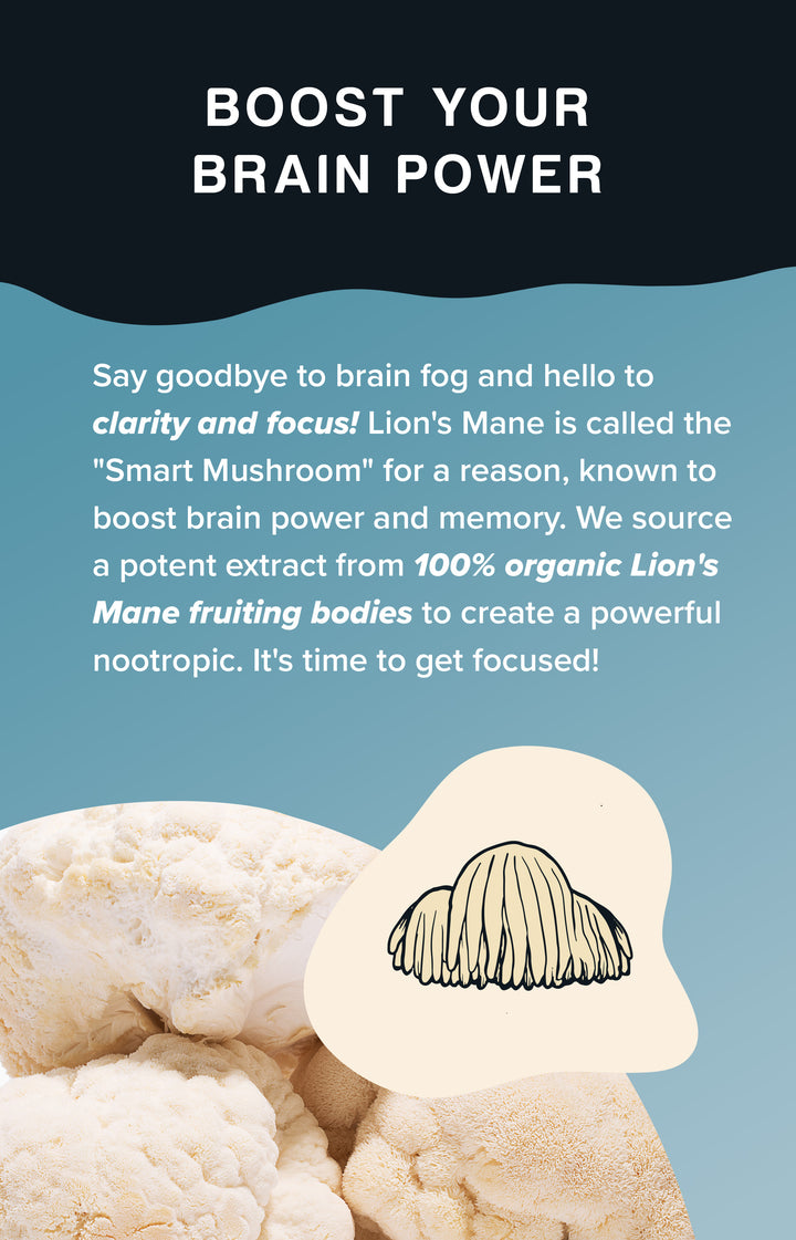 Lion's Mane Mushroom Extract Powder