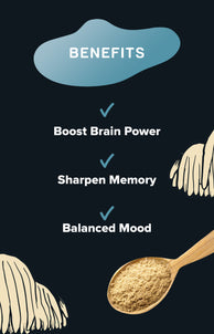 Lion's Mane Mushroom Extract Powder