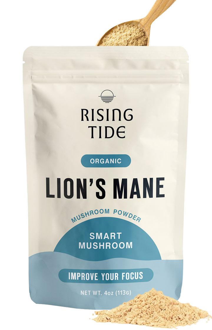 Lion's Mane Mushroom Extract Powder