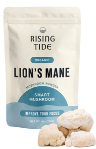 Mushroom Wellness Bundle