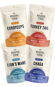 Mushroom Wellness Bundle