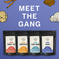 Mushroom Wellness Bundle