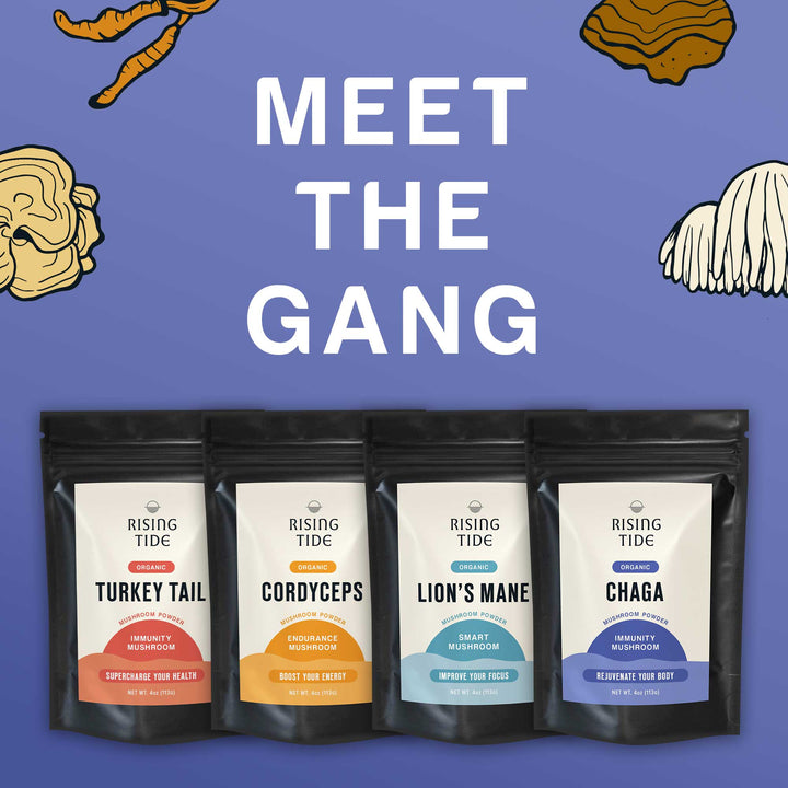 Mushroom Wellness Bundle