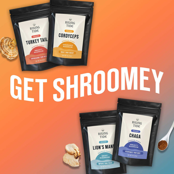 Mushroom Wellness Bundle