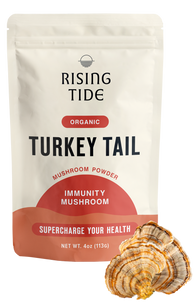 Mushroom Wellness Bundle