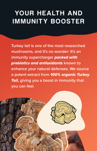 Turkey Tail Mushroom Extract Powder