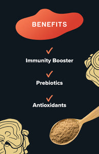 Turkey Tail Mushroom Extract Powder