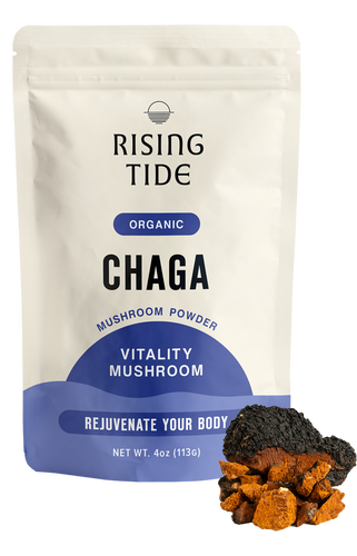 Chaga Mushroom Powder Extract