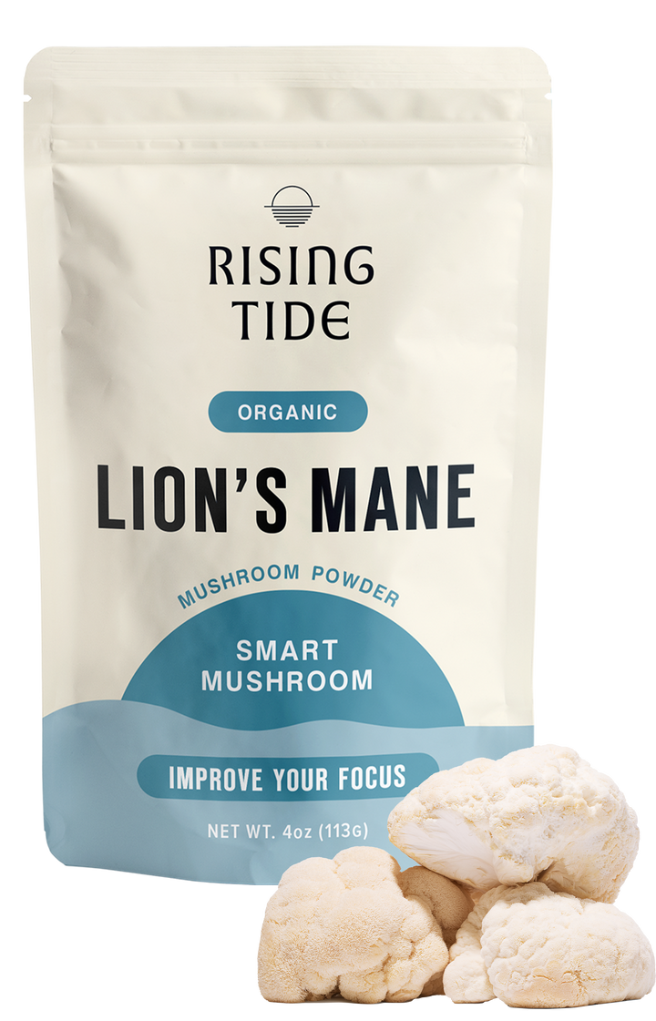 Lion's Mane Mushroom Extract Powder