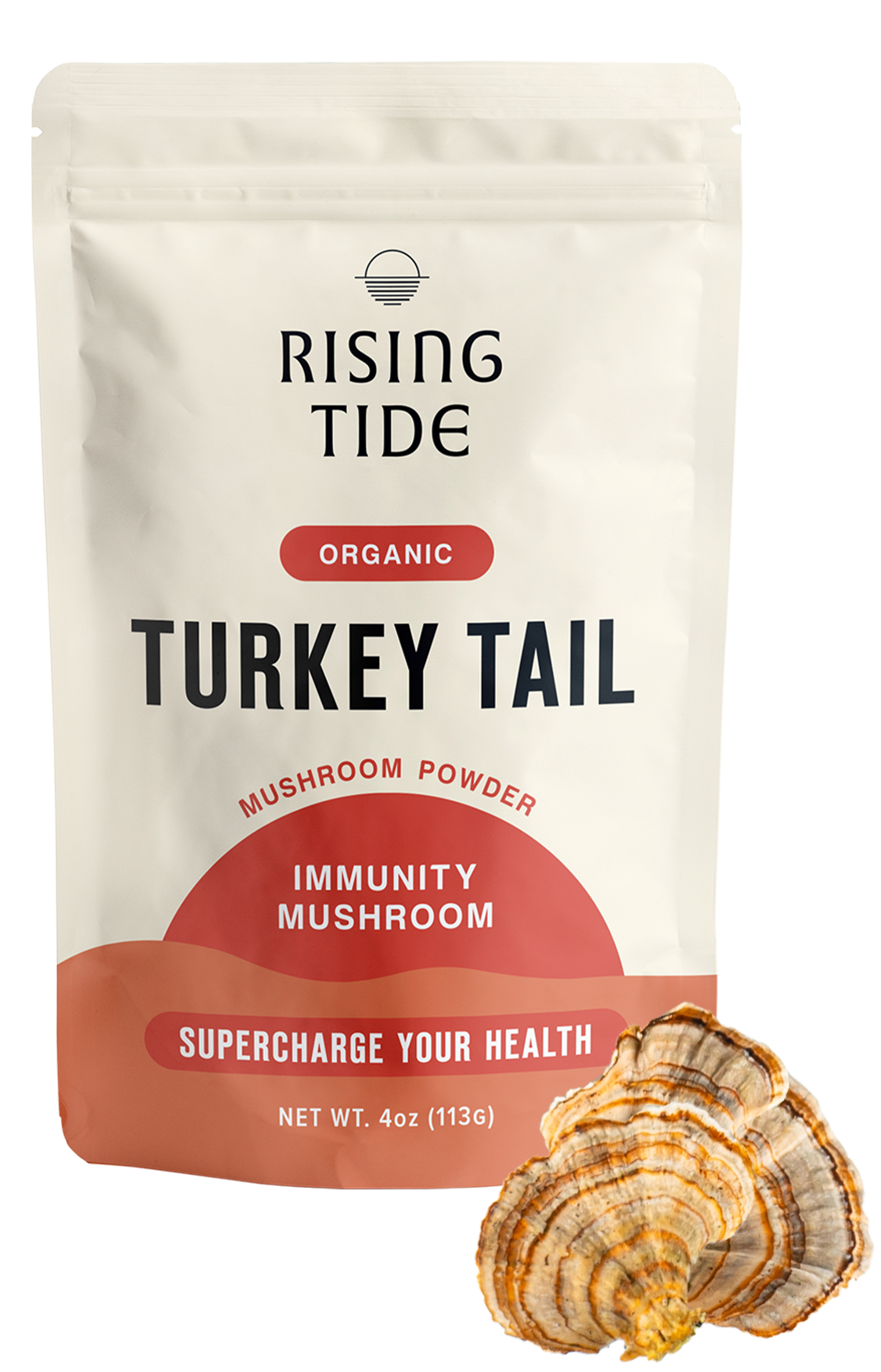 Turkey Tail Mushroom Extract Powder