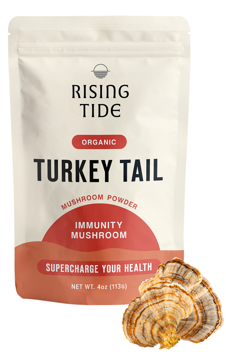 Turkey Tail Mushroom Extract Powder